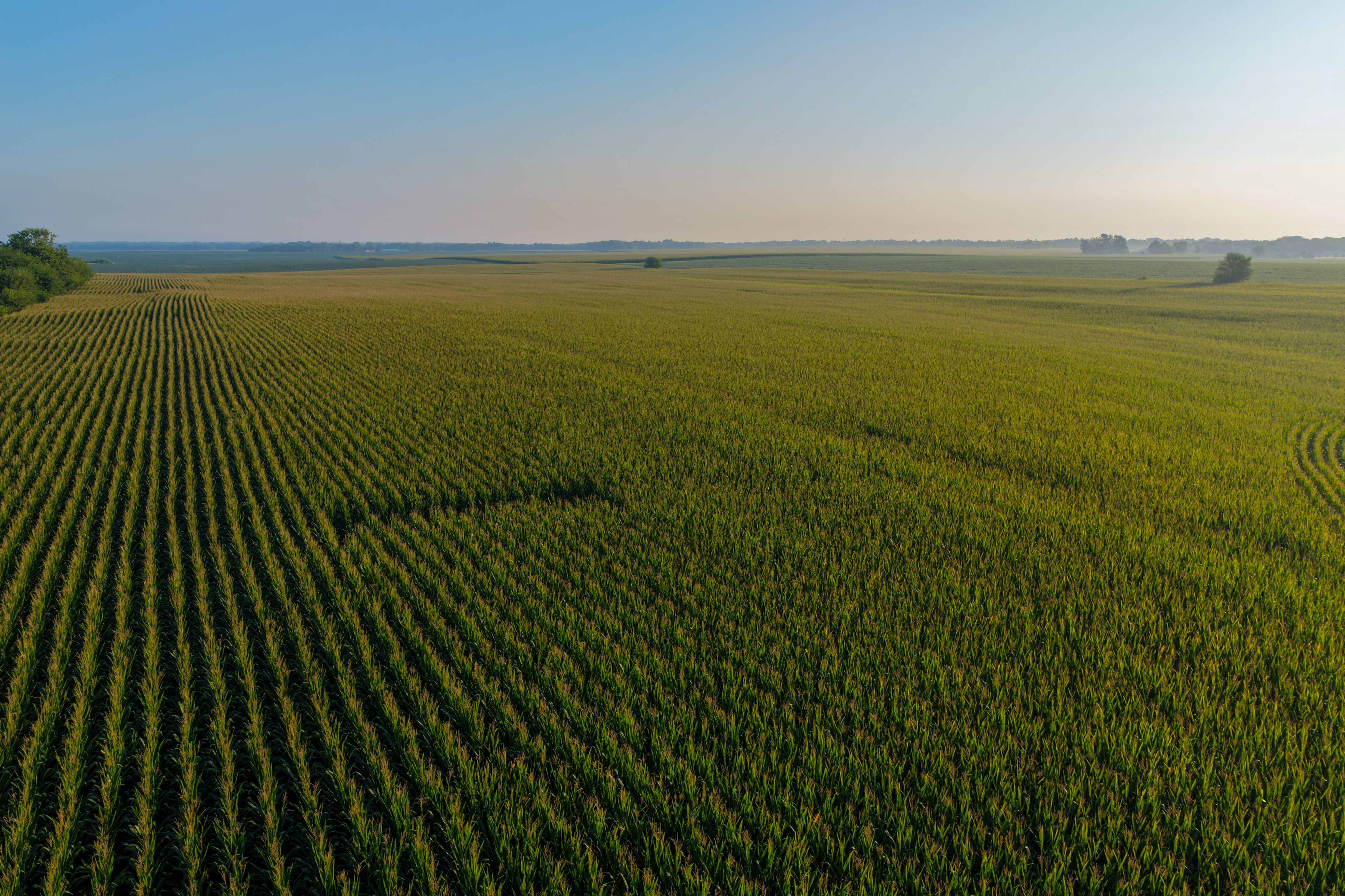 Listing Photo: 90 CSR2 Louisa County Farmland For Sale-79
